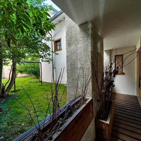Appartement Alte Scheune - Samedan